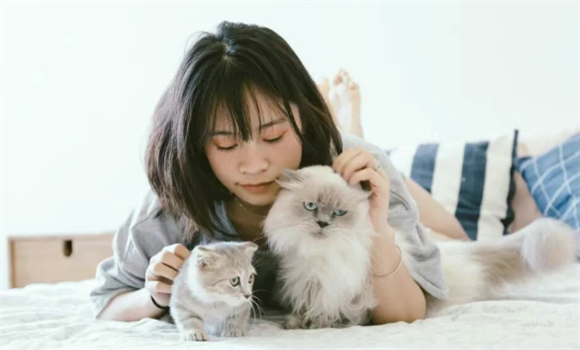 猫市场第二大品类，市场规模已超百亿
