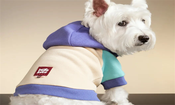 宠物时装怎么选购？iCOOLULU酷噜噜凭什么成为首选？