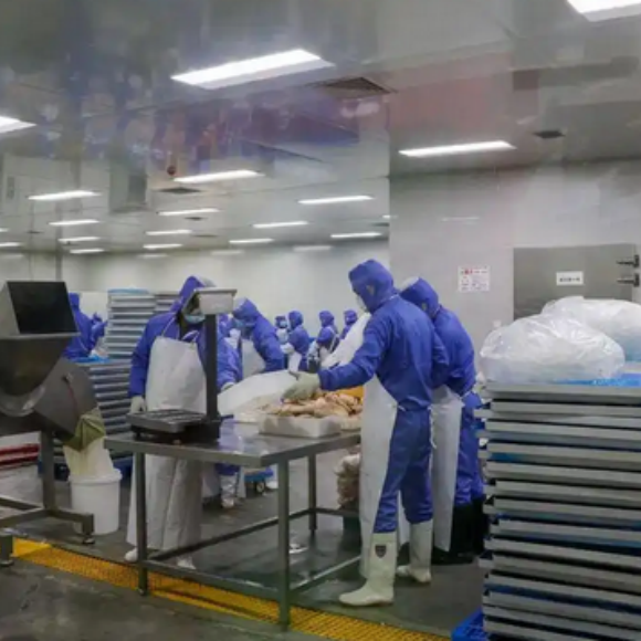 宠食加工哪家好？明月安欣宠食铸就冻干食品品质丰碑
