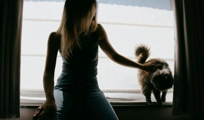 业绩高速增长,被催收购宠物企业 业绩高速增长,被催收购宠物企业