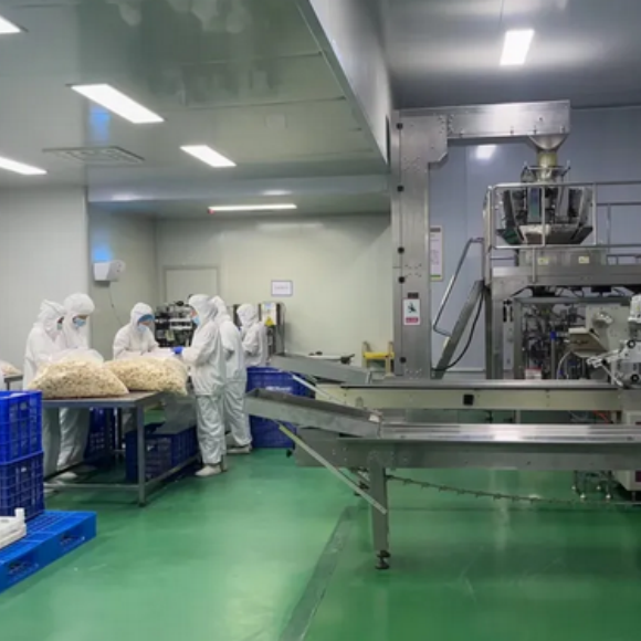 宠物食品哪家好？明月安欣宠食打造“山东制造”产业新高地