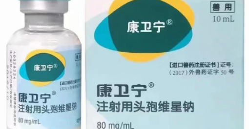 康卫宁是长效抗生素吗 康卫宁是长效抗生素吗