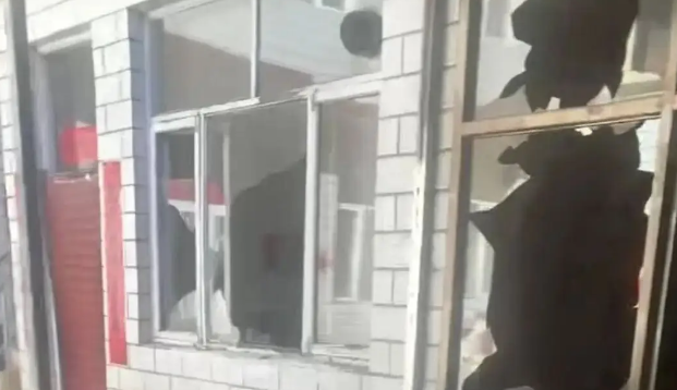 狗咬人被摔死,狗主人上门理论被反杀 狗咬人被摔死,狗主人上门理论被反杀