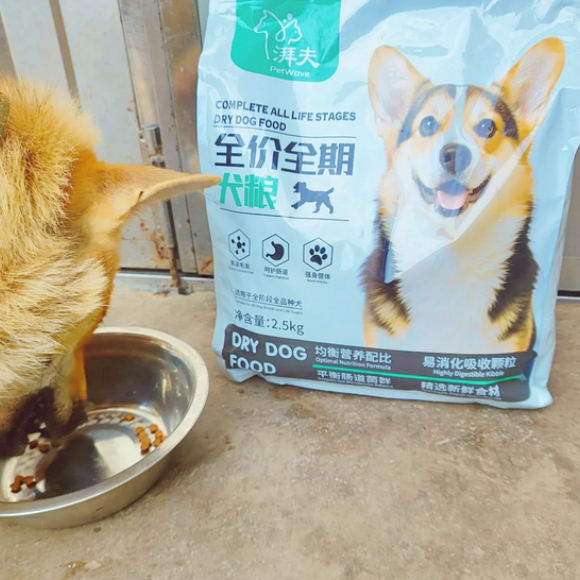 哪些狗粮比较好?湃夫用 哪些狗粮比较好?湃夫用