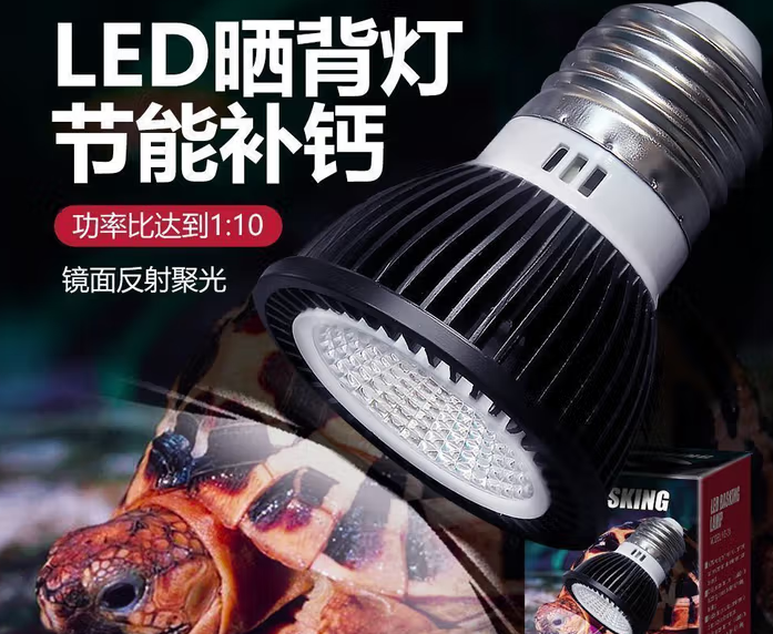 诺摩晒背灯可以代替太阳吗 诺摩晒背灯可以代替太阳吗