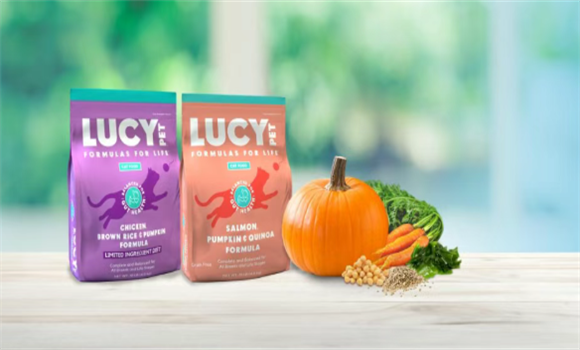 为什么选择LUCYPET配方低敏全猫粮才能让猫咪远离过敏困扰？