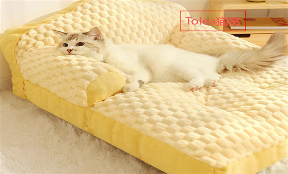 Tolea猫窝好用吗 Tolea猫窝好用吗