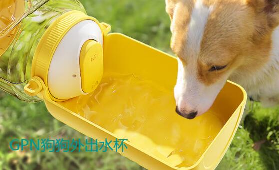 GPN狗狗外出水杯怎么样 GPN狗狗外出水杯怎么样