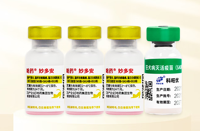 妙多安疫苗是正规品牌吗