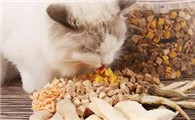 现象级爆发：宠物食品出口进入“精细化时代”
