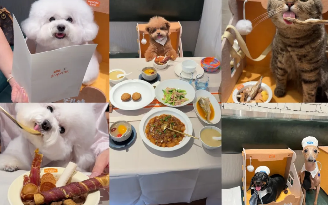 当宠物粮遇上美食综艺,麦富迪用一顿“封神好饭”突出重围 当宠物粮遇上美食综艺,麦富迪用一顿“封神好饭”突出重围