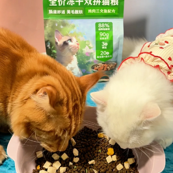 宠物冻干哪个好?解析杰臣冻干双拼的制胜之道 宠物冻干哪个好?解析杰臣冻干双拼的制胜之道