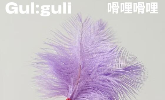 嗗哩嗗哩木天蓼玩具鹦鹉能玩吗