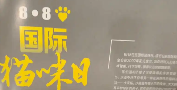国际猫咪日跨境营销热点:解锁全球宠物用品商机 国际猫咪日跨境营销热点:解锁全球宠物用品商机