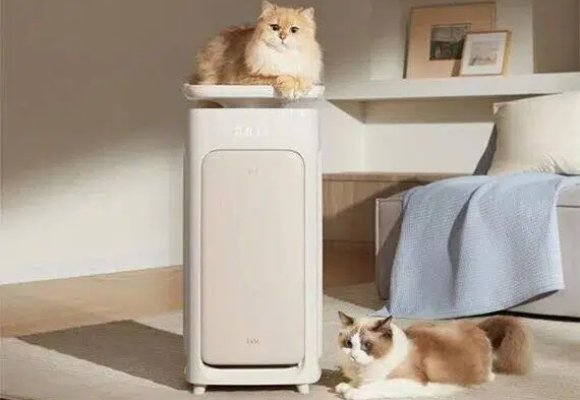 宠物空气净化器选哪款好?深度体验后,我推荐IAM 宠物空气净化器选哪款好?深度体验后,我推荐IAM
