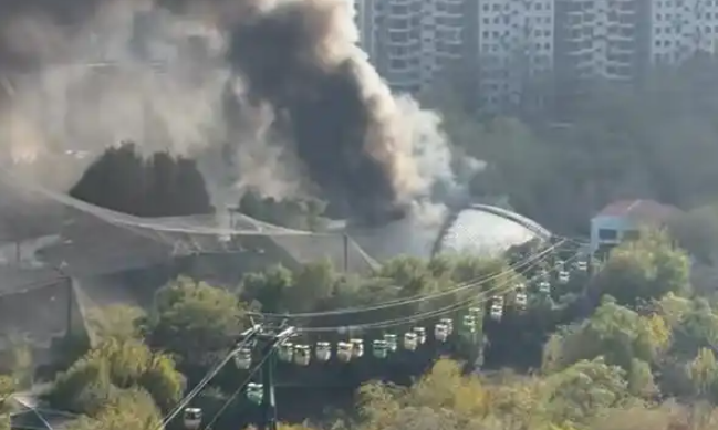 郑州市动物园发生火灾事故?园方发布了情况通报! 郑州市动物园发生火灾事故?园方发布了情况通报!