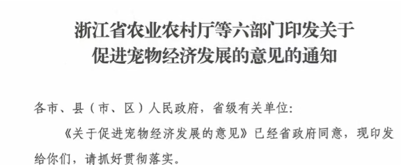 全国首份！省级宠物经济发展意见，聚焦九大重点任务