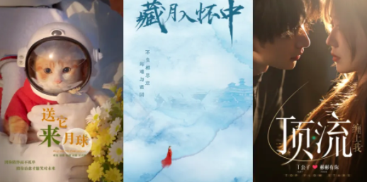 微短剧爆火！宠物品牌该如何入局？