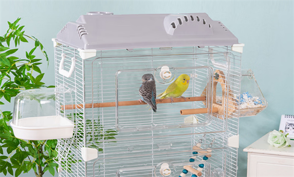 君达亚克力鹦鹉笼贵不贵 君达亚克力鹦鹉笼贵不贵