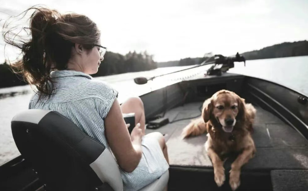 宠物经济爆发,这些岗位需求猛增 宠物经济爆发,这些岗位需求猛增