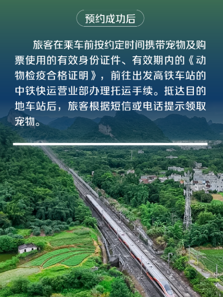 高铁携宠新体验,这些城市的铲屎官们有福了 高铁携宠新体验,这些城市的铲屎官们有福了