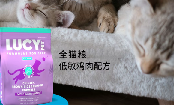 为什么选择LUCYPET配方低敏全猫粮才能让猫咪远离过敏困扰？