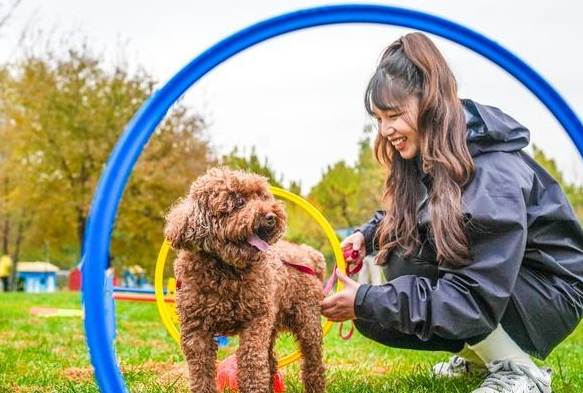 北京大兴庞各庄“西瓜小镇”主打“快乐休闲”,2025花宠季描绘产业融合新图景 北京大兴庞各庄“西瓜小镇”主打“快乐休闲”,2025花宠季描绘产业融合新图景