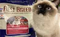 BestBreed全方位幼猫粮，何以成为幼猫成长的优质之选？​