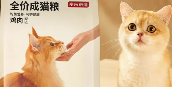 2025猫粮品牌推荐：京东京造猫粮，均衡营养守护猫咪健康成长