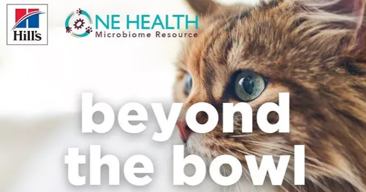 半年163.4亿！希尔思——这家宠物行业巨头业绩爆了