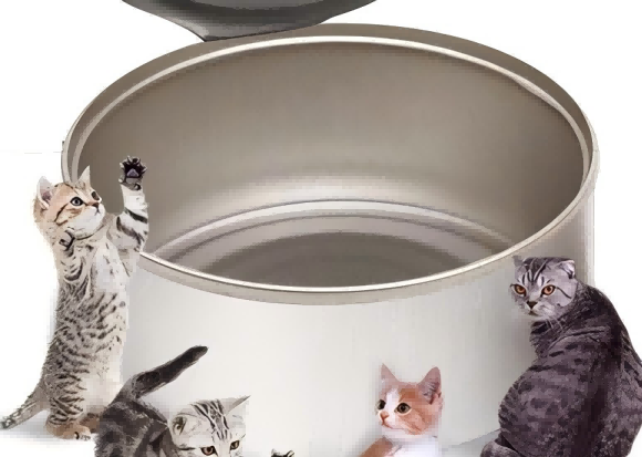 猫罐头推荐丨尾浪Tailwave猫罐头为什么成为猫咪主人的热门选择? 猫罐头推荐丨尾浪Tailwave猫罐头为什么成为猫咪主人的热门选择?