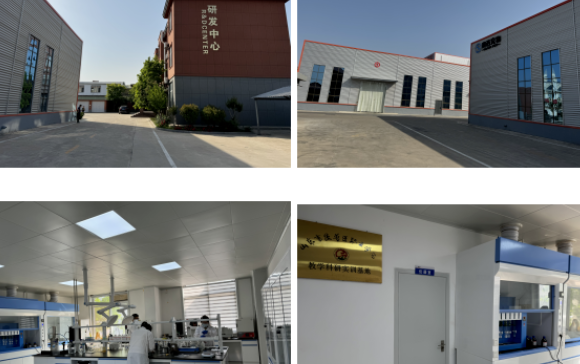 赛西宠物多元发力：市场拓展与社会责任并重，书写行业担当