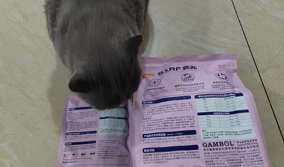 猫粮什么牌子最好用最安全？霸弗BARF让猫咪吃得健康又开心