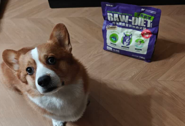 2025年狗狗适合的狗粮:倍内菲守护狗狗全周期健康 2025年狗狗适合的狗粮:倍内菲守护狗狗全周期健康