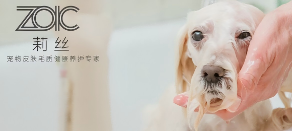 宠物美容哪个品牌好?ZOIC莉丝洗护系列呵护爱宠必备 宠物美容哪个品牌好?ZOIC莉丝洗护系列呵护爱宠必备