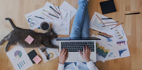 川普欲再加100%关税，中国宠物企业迎大考验