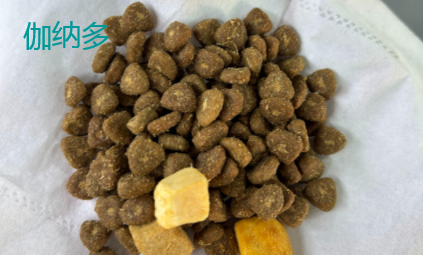 狗粮品牌分享:伽纳多Ganador,用品质赢口碑 狗粮品牌分享:伽纳多Ganador,用品质赢口碑