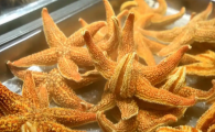 新鲜海星怎么吃