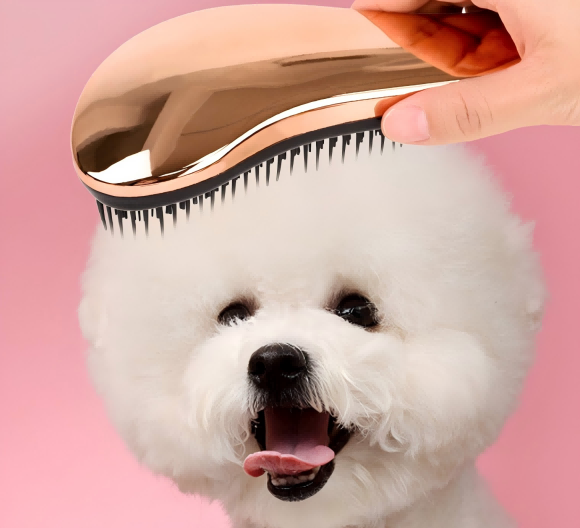 狗狗毛发乱怎么办?爱帛哆狗狗梳子专业护理 狗狗毛发乱怎么办?爱帛哆狗狗梳子专业护理