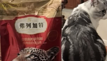 2025年哪款猫粮好一点?弗列加特全价天然粮,铲屎官健康养猫优选 2025年哪款猫粮好一点?弗列加特全价天然粮,铲屎官健康养猫优选