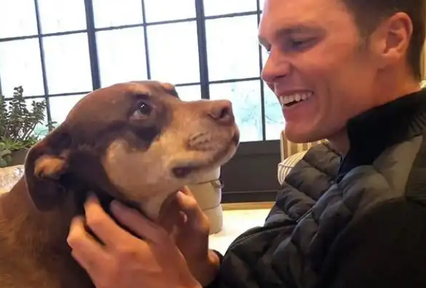 美运动员自曝饲养已故爱犬克隆体:由意图“复活恐狼”公司完成 美运动员自曝饲养已故爱犬克隆体:由意图“复活恐狼”公司完成