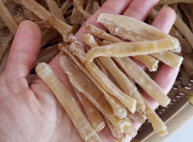 广西北海的沙虫多少钱一斤 广西北海的沙虫多少钱一斤
