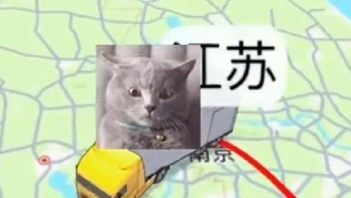 蓝猫被猫贩子抓走,主人坐飞机追了1600公里见到主人蓝猫大哭大叫 蓝猫被猫贩子抓走,主人坐飞机追了1600公里见到主人蓝猫大哭大叫