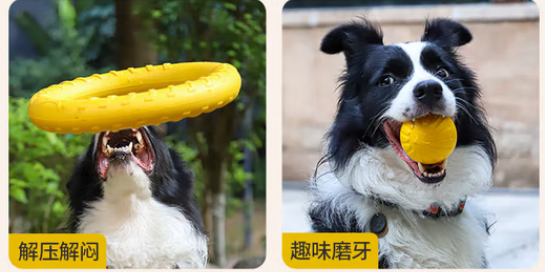 狗狗玩具哪个品牌好?宇丘宠物狗狗玩具,安全耐玩的养宠欢乐搭档 狗狗玩具哪个品牌好?宇丘宠物狗狗玩具,安全耐玩的养宠欢乐搭档
