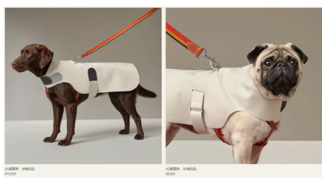 宠物用品奢侈化?爱马仕上新18300元狗碗 宠物用品奢侈化?爱马仕上新18300元狗碗