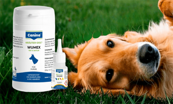 Canina灭虫宁驱虫药怎么样