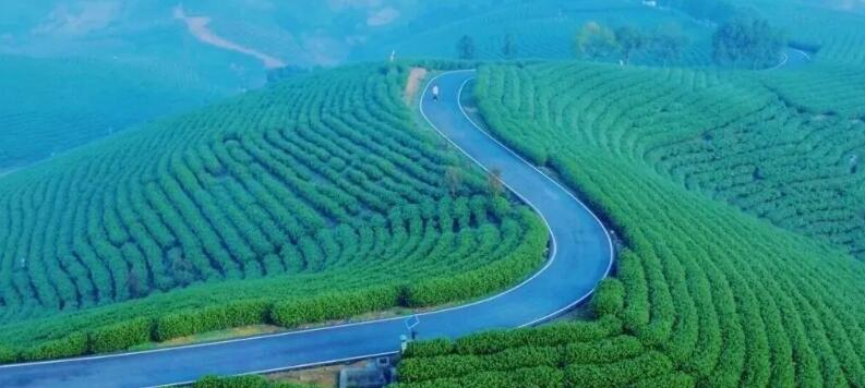 2025宠业新增长大会暨郝波宠业年度演讲:万物生·态不同 2025宠业新增长大会暨郝波宠业年度演讲:万物生·态不同
