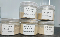 宠物不爱吃饭怎么办？邢台美拉的宠爱吃以科学诱食破解厌食难题