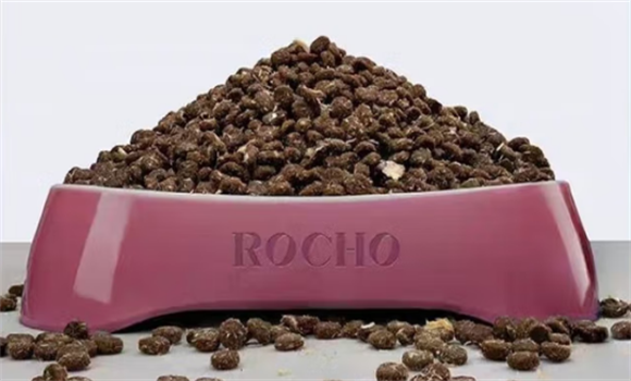 宠物猫粮哪个牌子好?荣宠一生猫粮成猫咪健康守护者! 宠物猫粮哪个牌子好?荣宠一生猫粮成猫咪健康守护者!