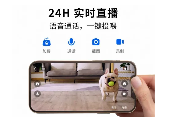 零售增长创下全年最低，但宠物消费为何冲了上天？